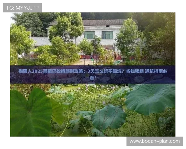 买波胆不中策略改变避坑指南品牌入口下载评测